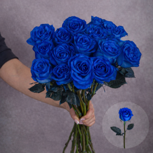 Roses Blue 3 stems per bunch