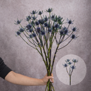 Thistle Blue 5 stems per bunch
