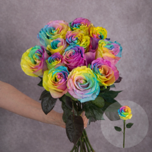 Roses Rainbow 3 stems per bunch